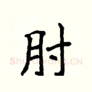 肘