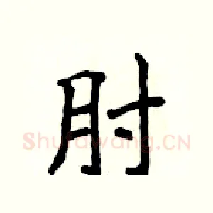 肘