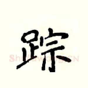 踪