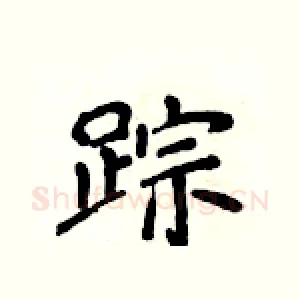 踪