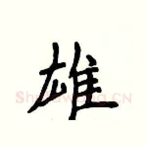 雄
