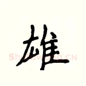 雄