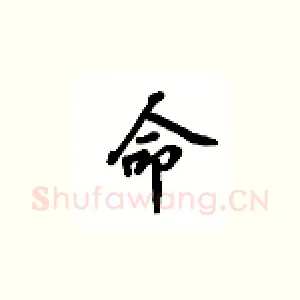 命