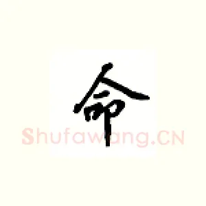 命