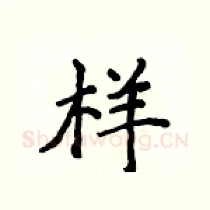 样
