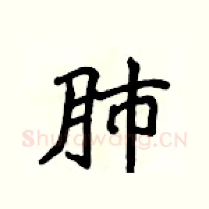 肺