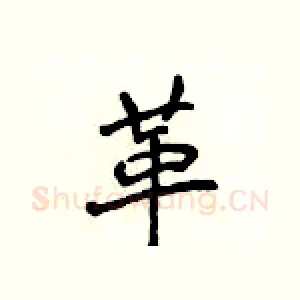 革