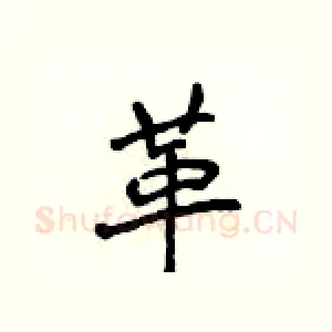 革