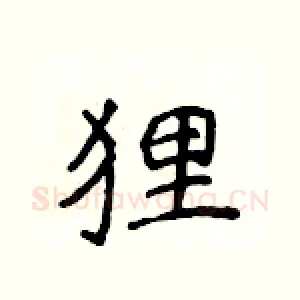 狸