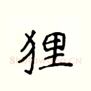 狸