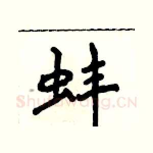蚌