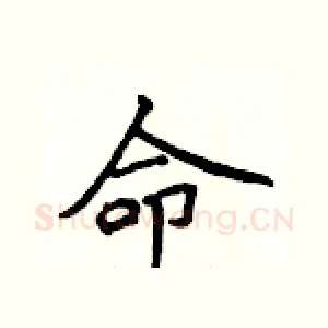 命