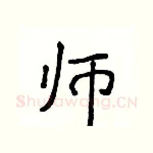 师