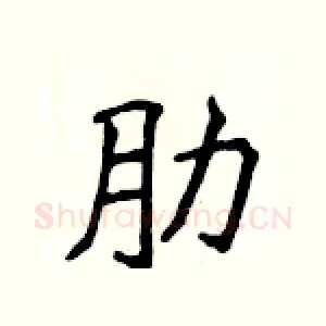 肋
