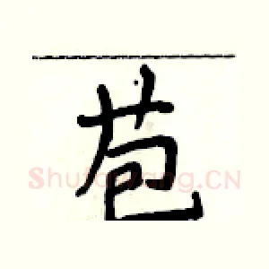 苞