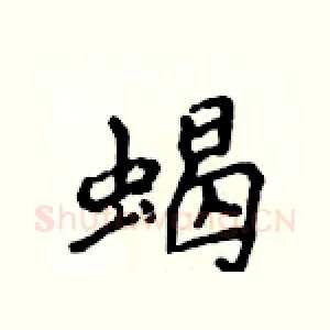 蝎