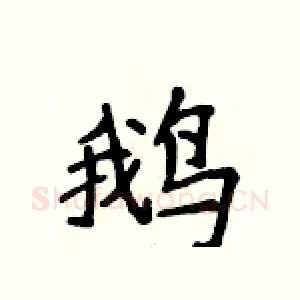 鹅