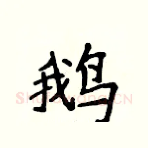 鹅