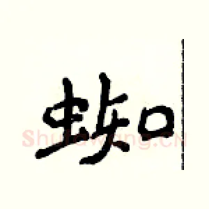 蜘