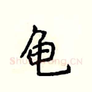 龟