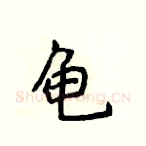 龟