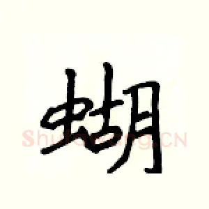 蝴