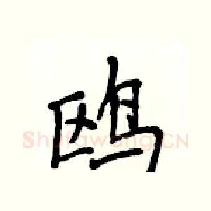 鸥