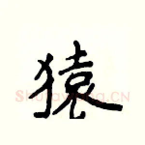 猿