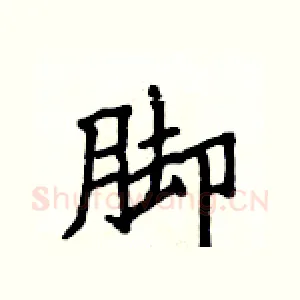 脚