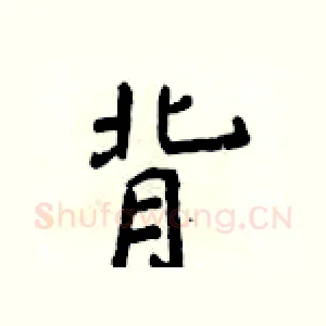 背