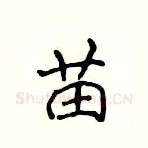 苗