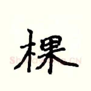 棵