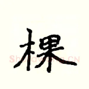 棵