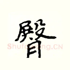 臀