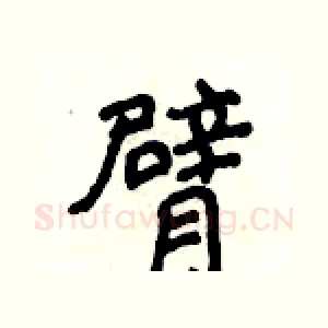 臂