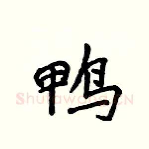 鸭