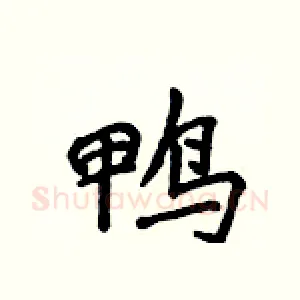 鸭