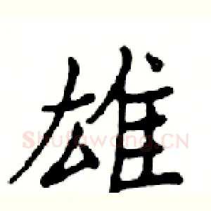 雄