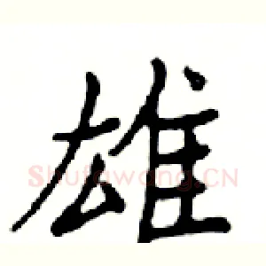 雄