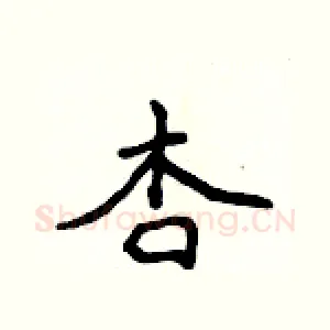 杏