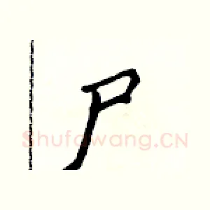 尸