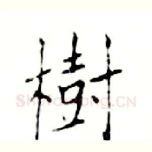 樹
