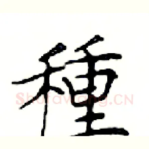 種