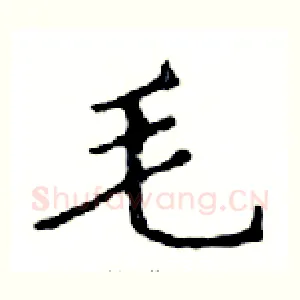 毛