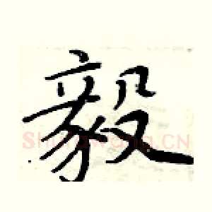 毅