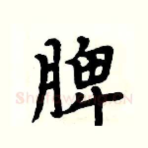 脾