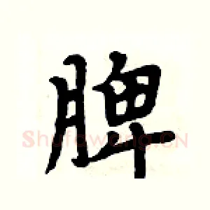 脾