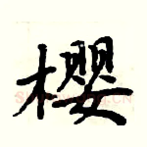樱