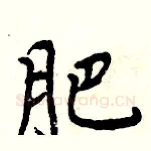 肥