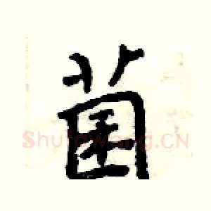 菌